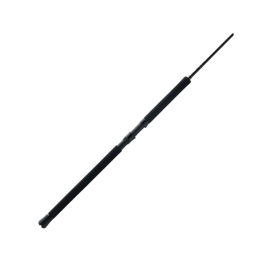 PENN SQUADRON IV JIG SPINNING ROD