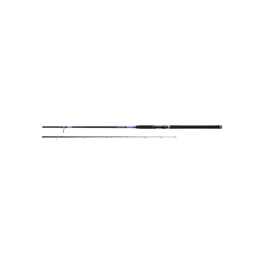 DAIWA BEEFSTICK SURF ROD