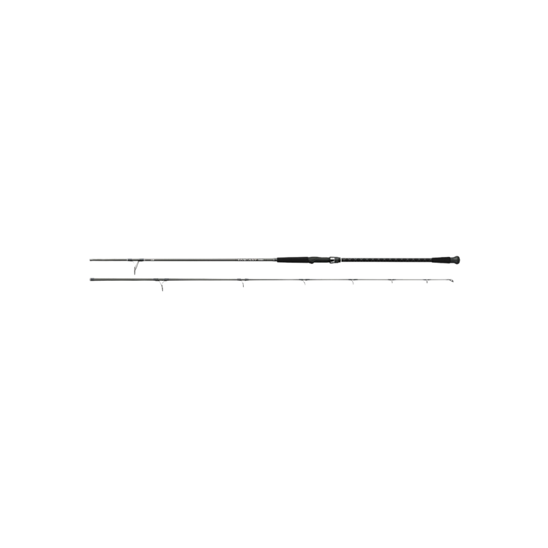 DAIWA EMCAST SURF ROD