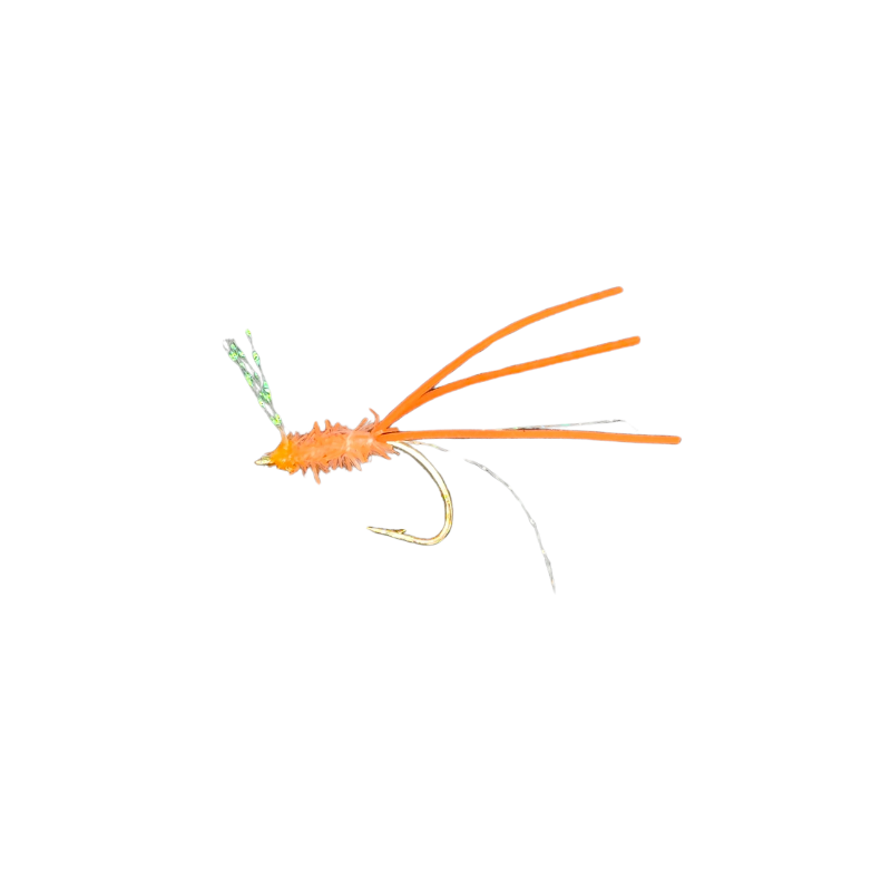 KOLOHE BOYZZ FLIES MENPACHI