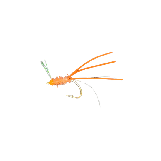 KOLOHE BOYZZ FLIES MENPACHI