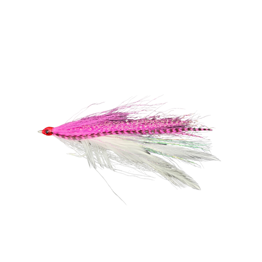 KOLOHE BOYZZ FLIES DECEIVER FLY