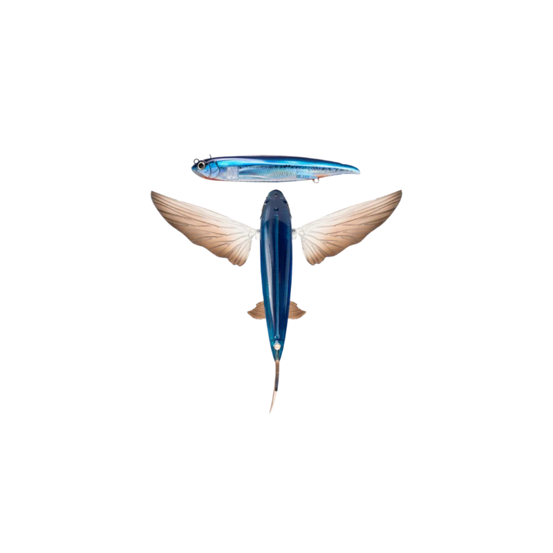 NOMAD SLIPSTREAM FLYING FISH - OCEANIC