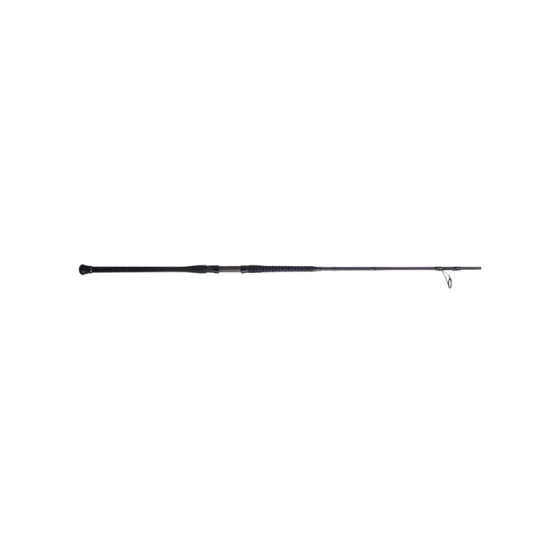 PENN BATTALION II SPINNING ROD