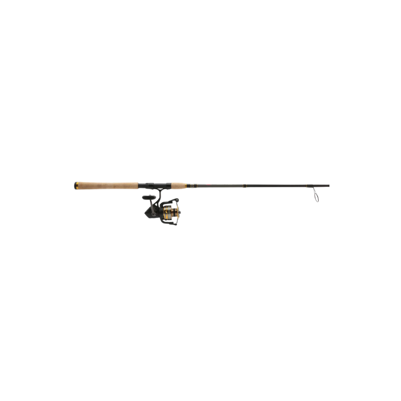 PENN BATTLE IV SPINNING COMBO