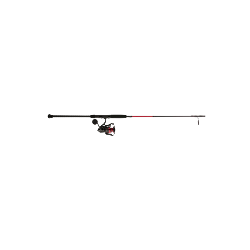 PENN FIERCE SPINNING COMBO