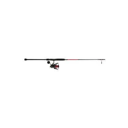 PENN FIERCE SPINNING COMBO