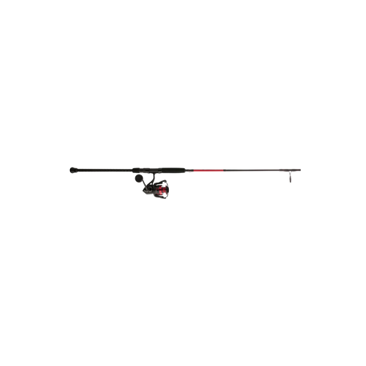 PENN FIERCE SPINNING COMBO