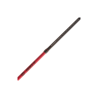 PENN FIERCE SPINNING COMBO